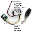 8147.webp