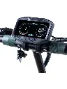 image_1__1.webp