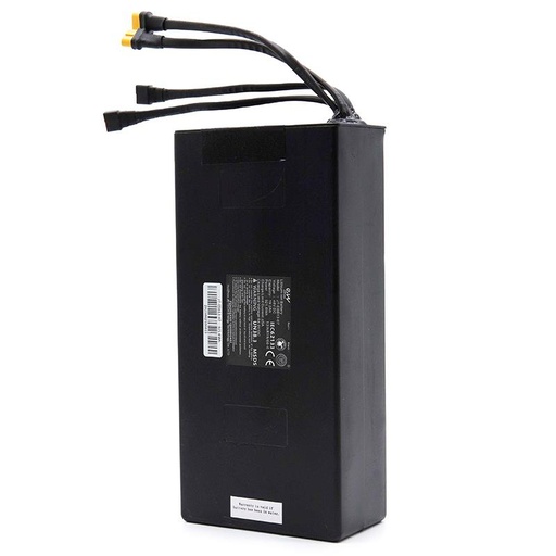 [BB-016] 48V 19.2 A/h batterij voor smartgyro speedway 